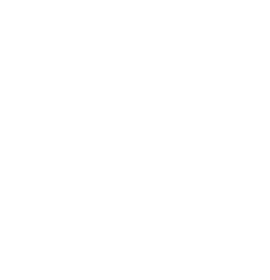 img-prue-fonos-seguridad