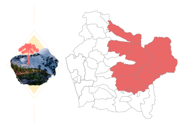 imgZonaAndina-002-01